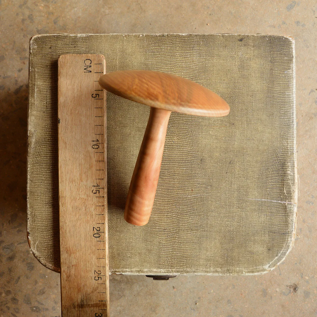 Large Darning Mushroom