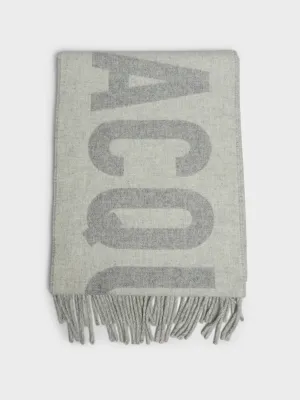 L'Echarpe Jacquemus Scarf in Grey