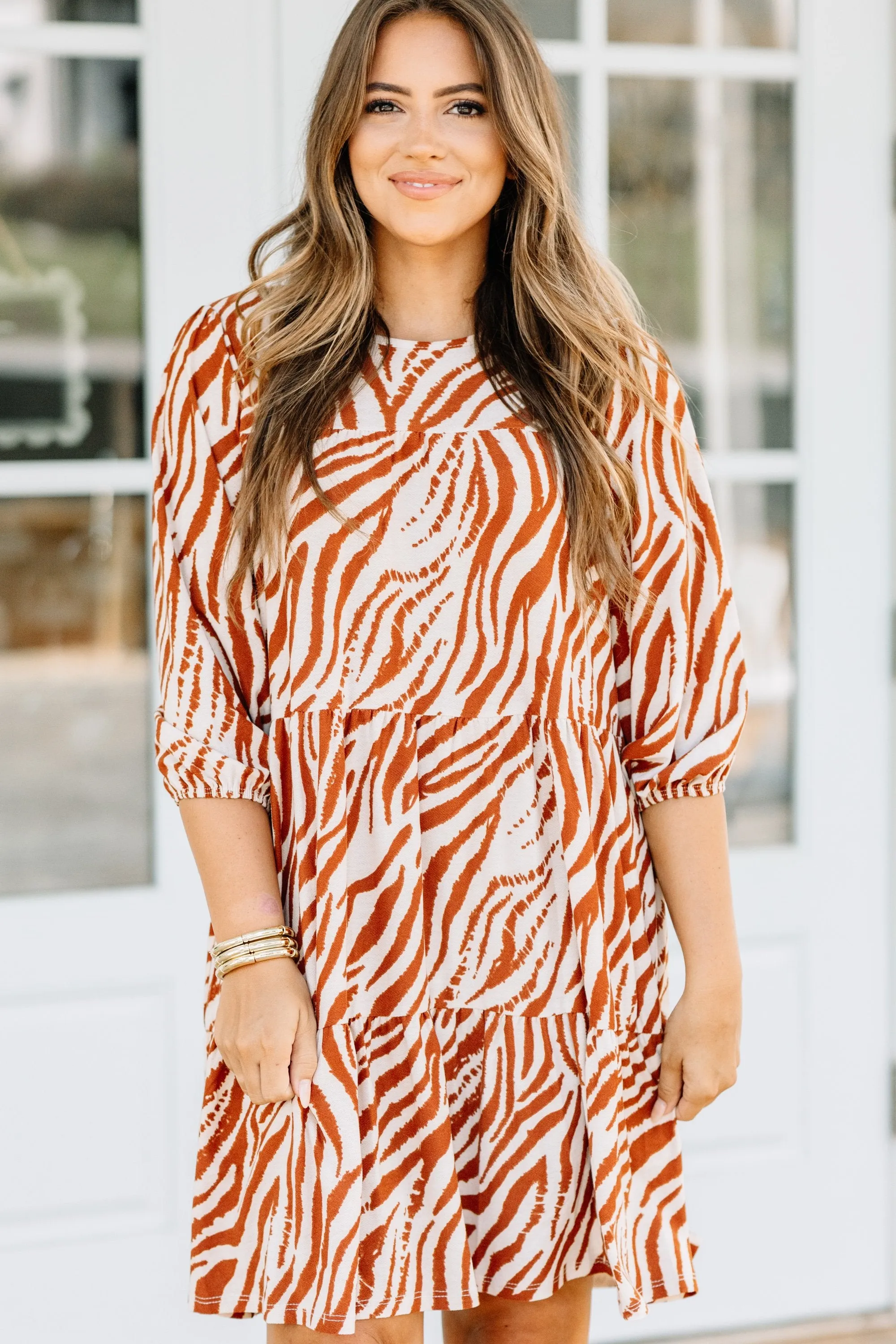 What You Want Bronze Brown Zebra Dress